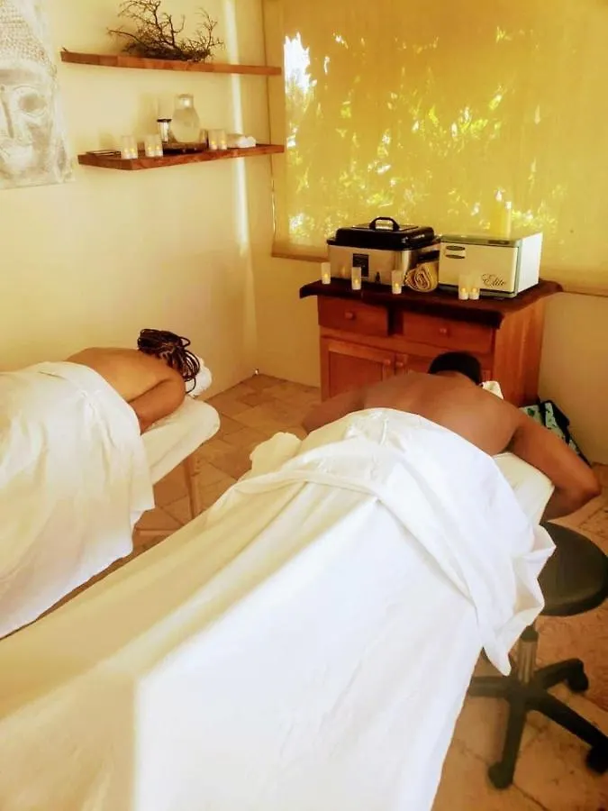 Blue Paloma Bed & Breakfast 루세아 자메이카