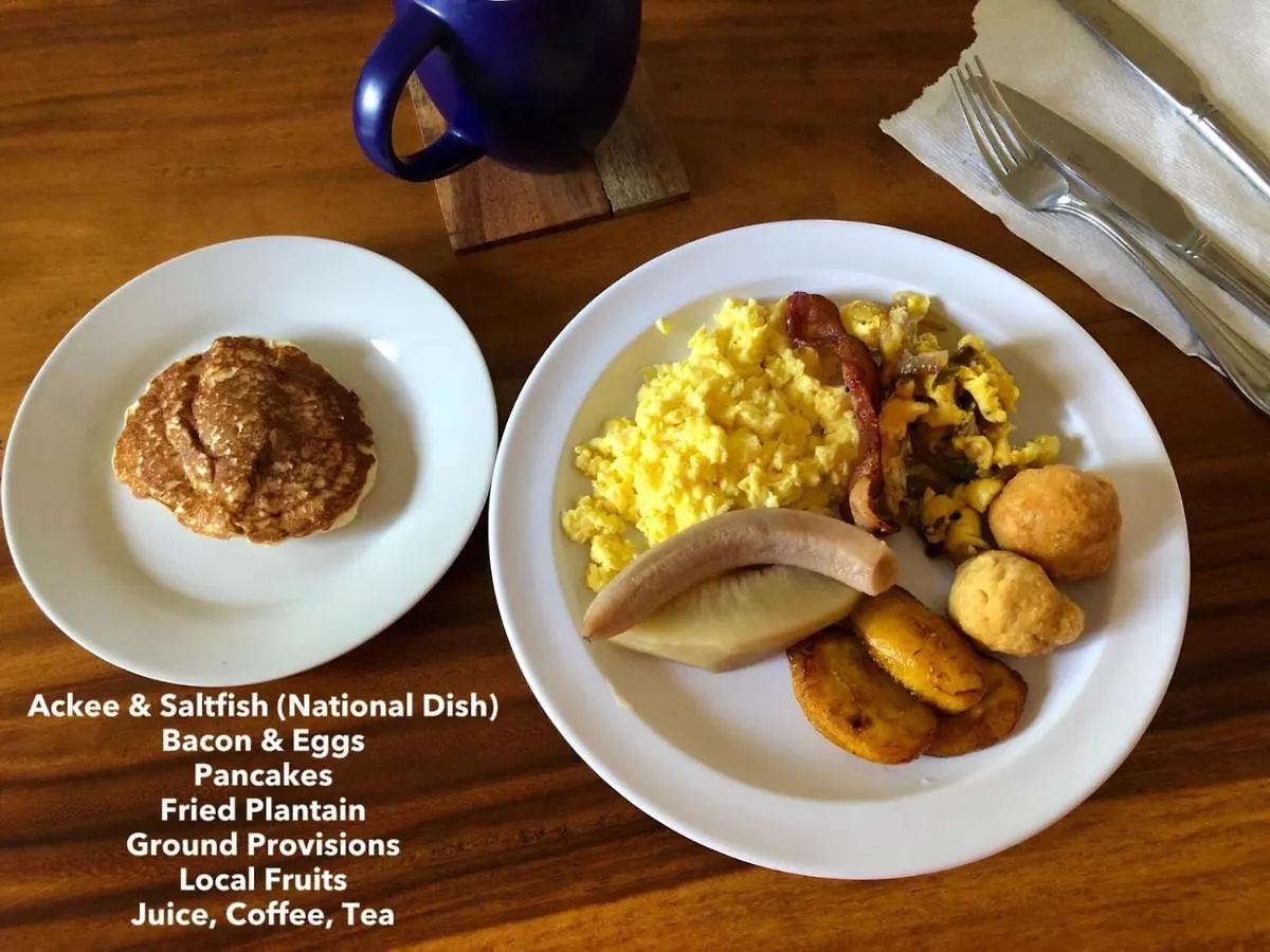 Blue Paloma Bed & Breakfast 루세아 자메이카