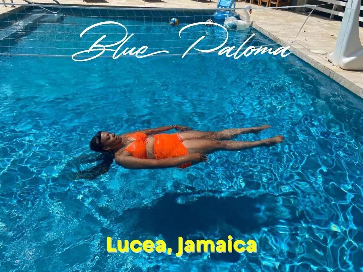 Blue Paloma Bed & Breakfast Lucea 0*,  Jamaica