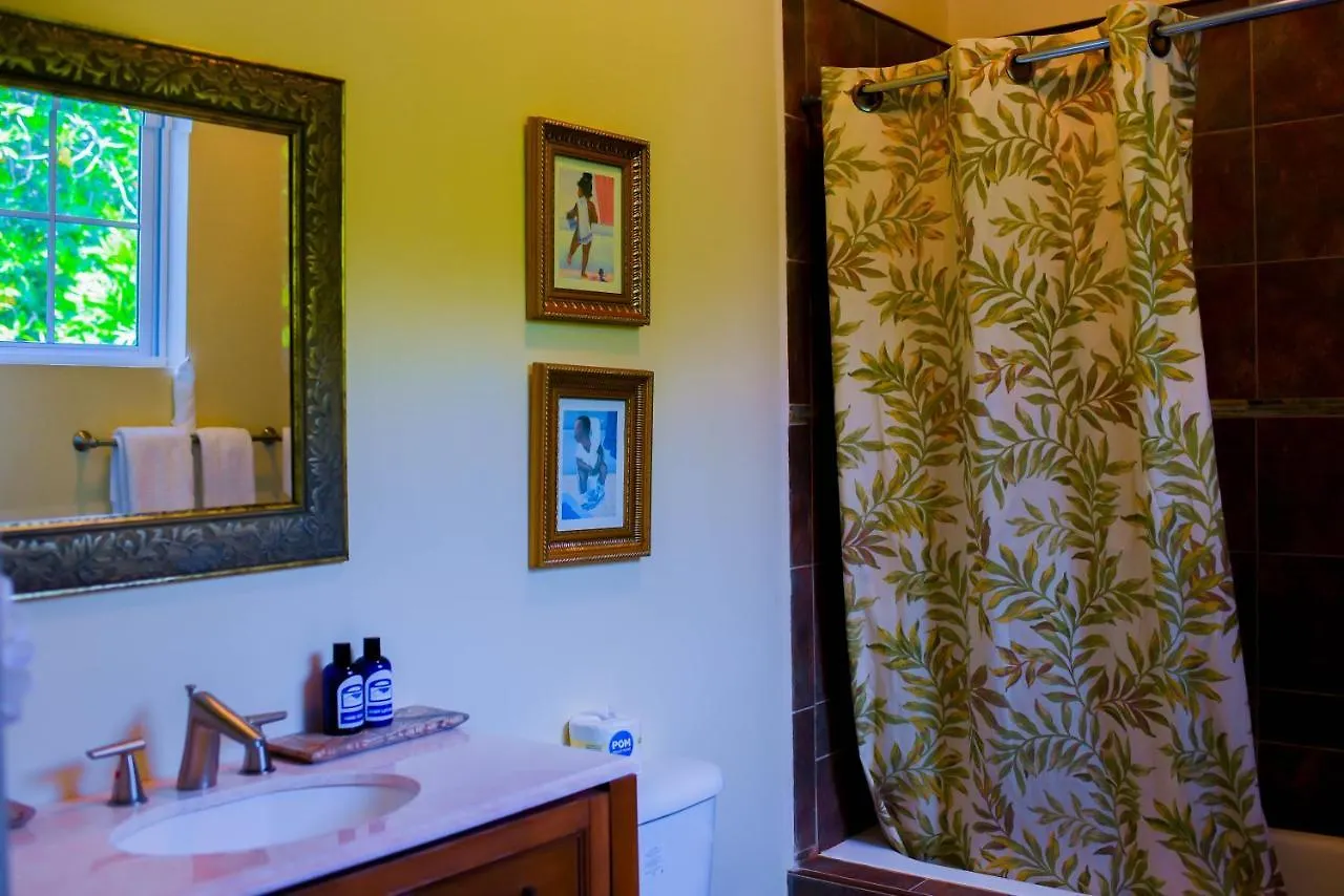 Blue Paloma Bed & Breakfast Lucea